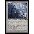 画像1: 穢すもの、ウラモグ/Ulamog, the Defiler (1)