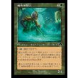 画像1: 進化の証人/Evolution Witness (1)