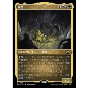 画像: 屍花/The Necrobloom