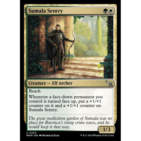 画像2: スマーラの歩哨/Sumala Sentry (2)