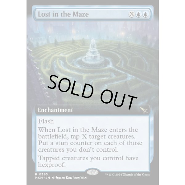 画像2: 迷路での迷子/Lost in the Maze (2)