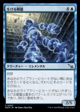 画像: 生ける難題/Living Conundrum