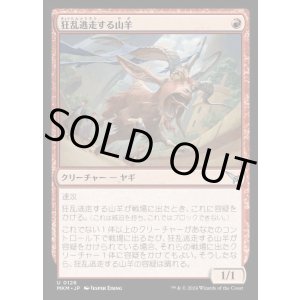 画像: 狂乱逃走する山羊/Frantic Scapegoat