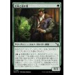 画像1: 生垣と話す者/Hedge Whisperer (1)