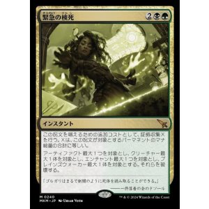 画像: 緊急の検死/Urgent Necropsy