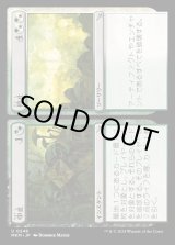 画像: 中止+停止/Cease+Desist