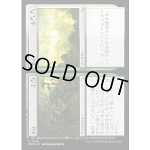 画像: 中止+停止/Cease+Desist