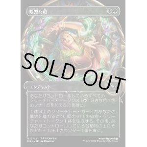 画像: 《陰湿な根/Insidious Roots(0313)》【JPN】[MKM金U]