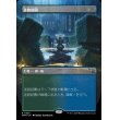 画像1: 迷路庭園/Hedge Maze (1)