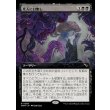 画像1: 死人に口無し/Deadly Cover-Up (1)