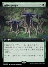 画像: 自然な溶け込み/Hide in Plain Sight