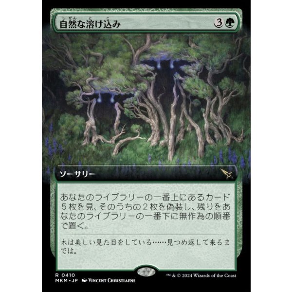 画像1: 自然な溶け込み/Hide in Plain Sight (1)