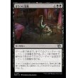 画像1: ぎらつく氾濫/Glistening Deluge (1)