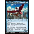 画像2: 翼を持つ戦士、ファルコン/Falcon, Winged Wonder (2)