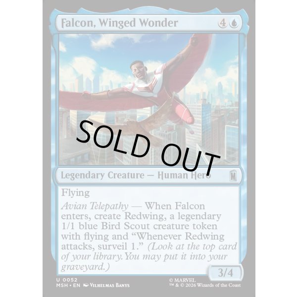 画像2: 翼を持つ戦士、ファルコン/Falcon, Winged Wonder (2)