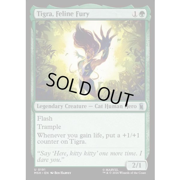 画像2: 荒ぶる猫戦士、ティグラ/Tigra, Feline Fury (2)