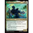 画像2: 先陣を行く者、ブラックパンサー/Black Panther, Vanguard (2)