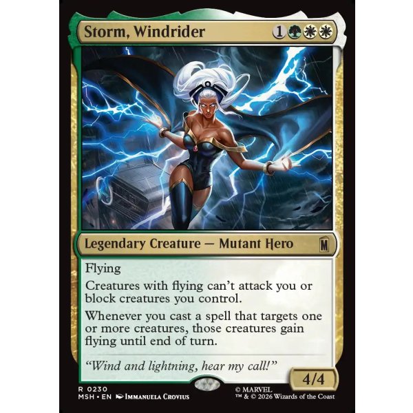 画像2: ウィンドライダー、ストーム/Storm, Windrider (2)