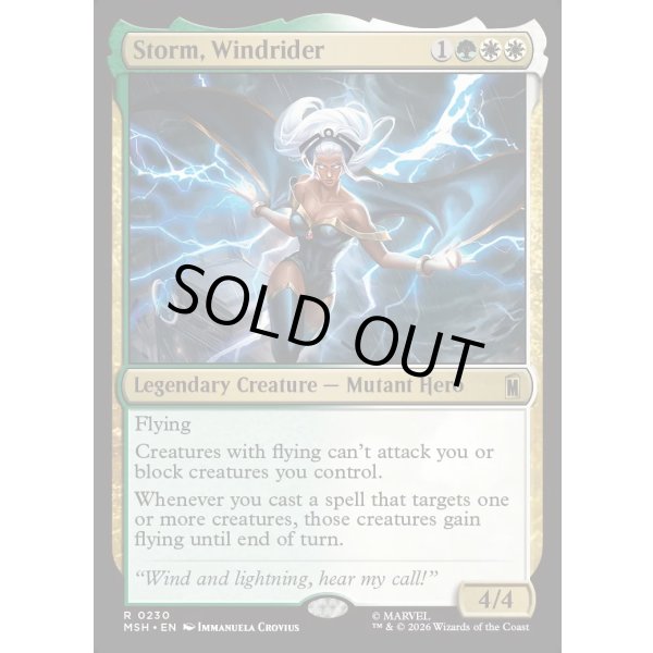 画像2: ウィンドライダー、ストーム/Storm, Windrider (2)