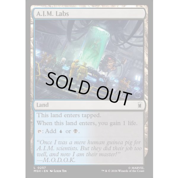 画像2: A.I.M.の研究所/A.I.M. Labs (2)