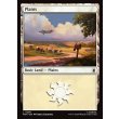 画像2: 平地/Plains (2)
