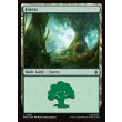 画像2: 森/Forest (2)