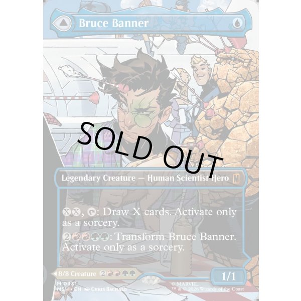 画像3: ブルース・バナー/Bruce Banner (3)