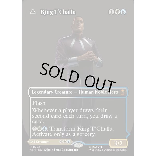 画像3: ティ・チャラ王/King T'Challa (3)