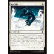 画像1: 豹の急襲/Panther Pounce (1)