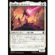 画像1: 盾の使い手、パトリオット/Patriot, Shield Wielder (1)