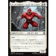 画像1: スーパーソルジャー、レッド・ガーディアン/Red Guardian, Super-Soldier (1)