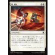 画像1: 盾、構え/Take Up the Shield (1)