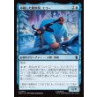 画像1: 卓越した観察眼、エコー/Echo, Perceptive Prodigy (1)