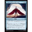 画像1: ファルコンのウィングハーネス/Falcon's Wing Harness (1)
