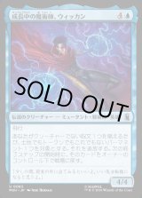 画像: 成長中の魔術師、ウィッカン/Wiccan, Rising Magician
