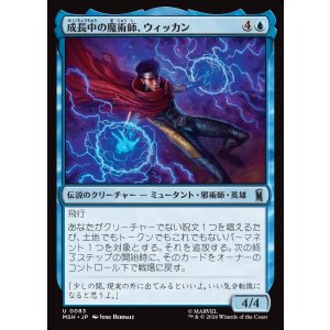 画像: 成長中の魔術師、ウィッカン/Wiccan, Rising Magician