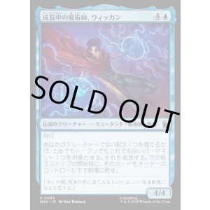 画像: 成長中の魔術師、ウィッカン/Wiccan, Rising Magician