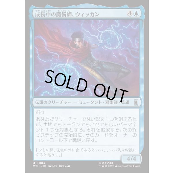 画像1: 成長中の魔術師、ウィッカン/Wiccan, Rising Magician (1)