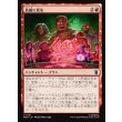 画像1: 仇敵に死を/Death to Our Enemies (1)