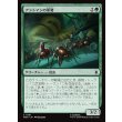 画像1: アントマンの軍勢/Ant-Man's Army (1)