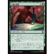 画像1: 王国の簒奪/Claim the Kingdom (1)