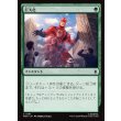 画像1: 巨大化/Giant Growth (1)