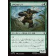 画像1: ゴリラのゲリラ/Guerrilla Gorilla (1)