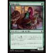 画像1: 熟練の蛇使い/Serpent Specialist (1)