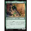 画像1: 翠色の守護者、シーハルク/She-Hulk, Jade Defender (1)