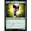 画像1: 荒ぶる猫戦士、ティグラ/Tigra, Feline Fury (1)