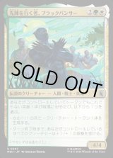 画像: 先陣を行く者、ブラックパンサー/Black Panther, Vanguard