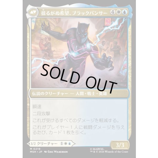 画像2: ティ・チャラ王/King T'Challa (2)