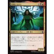 画像1: マダム・ヒドラ/Madame Hydra (1)