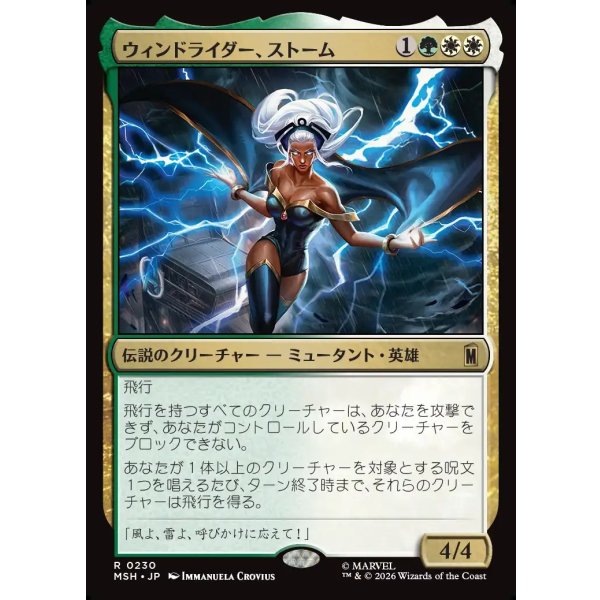 画像1: ウィンドライダー、ストーム/Storm, Windrider (1)